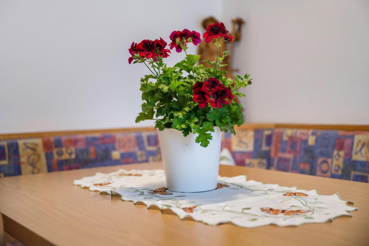 Apartment Sonnenschein Rio di Pusteria